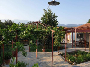 PILIO PARADISE GARDEN